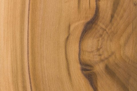 Responsible Wood Chain of Custody allows consumers to trace Tasmanian wood products back to their sustainable source